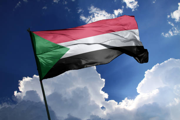  “Sudan Remember Us”: The Power of Film Edutainment and Flow in Storytelling